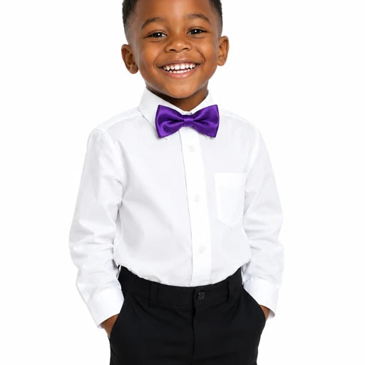 RICH PURPLE SATIN BOW TIE - BW106PPL