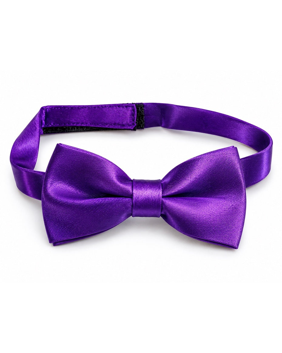 RICH PURPLE SATIN BOW TIE - BW106PPL